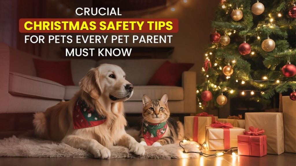 Crucial Christmas Safety Tips for Pets Every Pet Parent Must Know