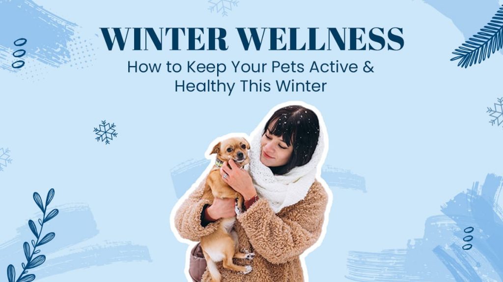 Winter Pet Wellness How to Keep Your Pets Active & Healthy