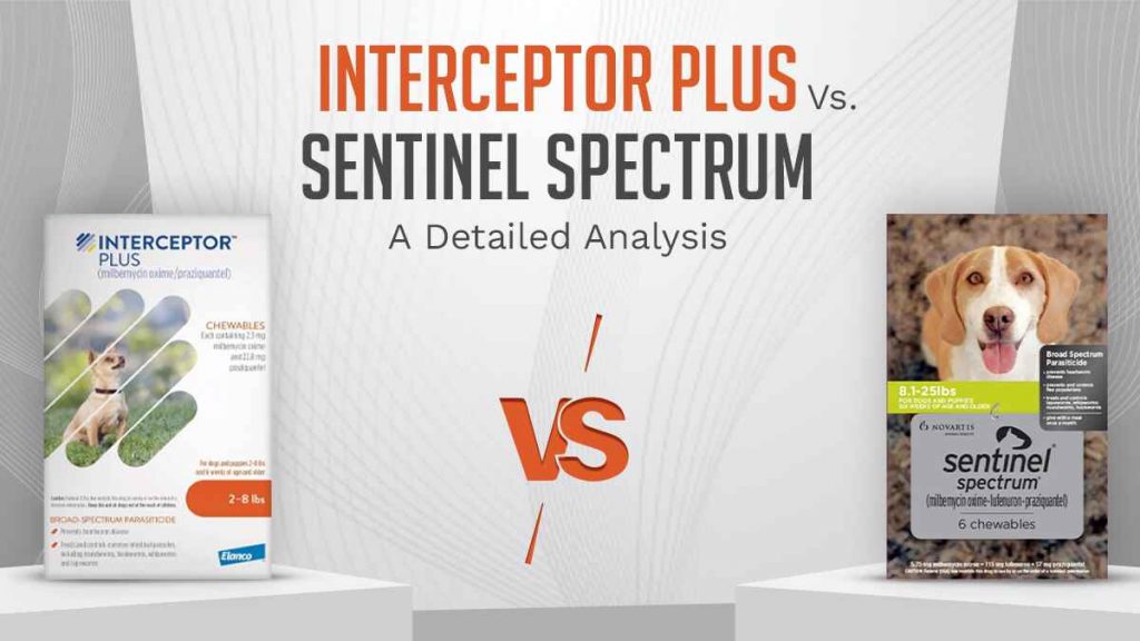 Interceptor Plus vs Sentinel Spectrum Key Differences Explained