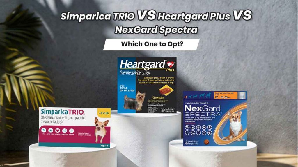 Simparica TRIO vs Heartgard Plus vs NexGard Spectra