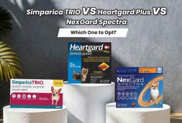 Simparica TRIO vs Heartgard Plus vs NexGard Spectra