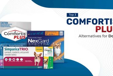 Top 3 Comfortis Plus Alternatives for Dogs