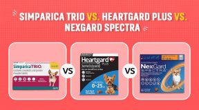 Simparica Trio vs Heartgard Plus vs NexGard Spectra Compared