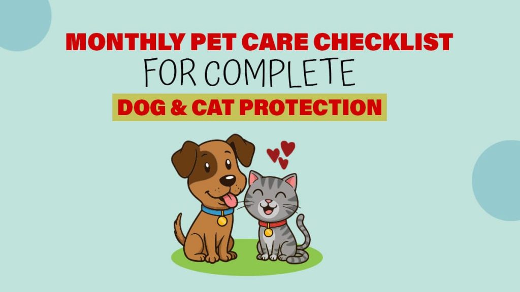 Complete Monthly Pet Care Checklist for Dogs & Cats