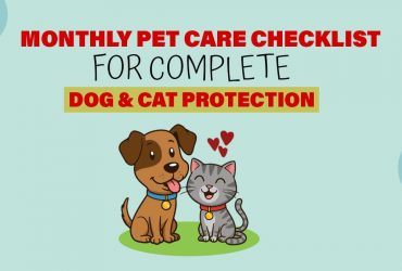 Complete Monthly Pet Care Checklist for Dogs & Cats