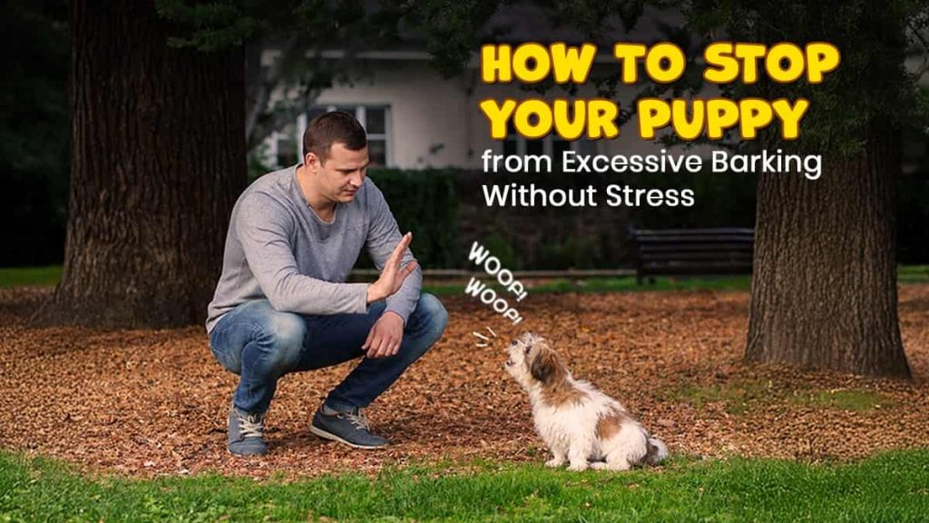 How to Stop Excessive Puppy Barking: Easy & Stress-Free Tips