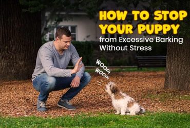 How to Stop Excessive Puppy Barking: Easy & Stress-Free Tips