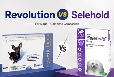 Revolution or Selehold for Dogs? Compare Coverage & Benefits