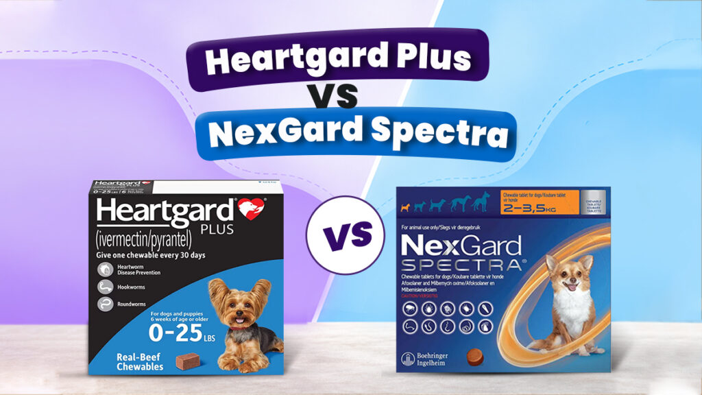 Heartgard Plus vs. NexGard Spectra for Dogs