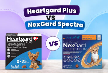 Heartgard Plus vs. NexGard Spectra for Dogs